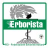 Ficarra Eleonora