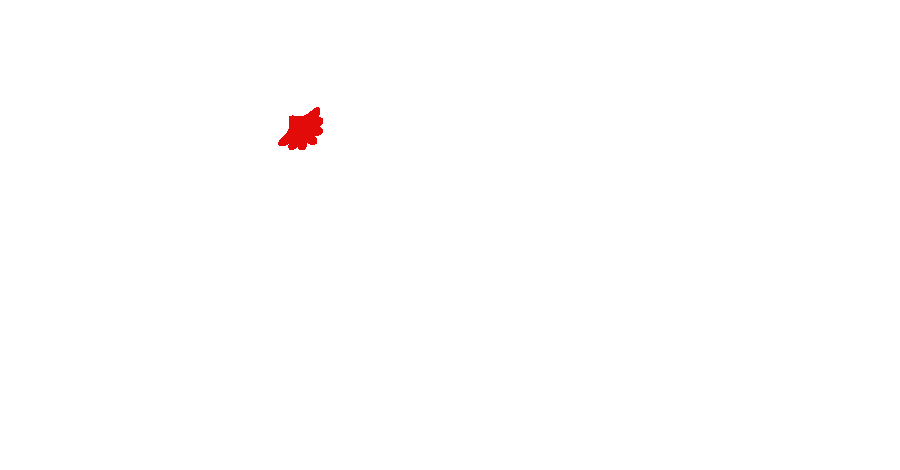 logo-fei